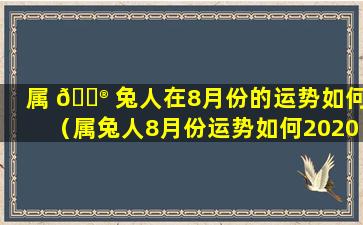 属 💮 兔人在8月份的运势如何（属兔人8月份运势如何2020）